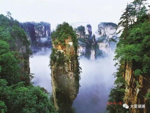 张家界吃瓜爆料新闻视频,揭秘当地美食背后的故事  第2张